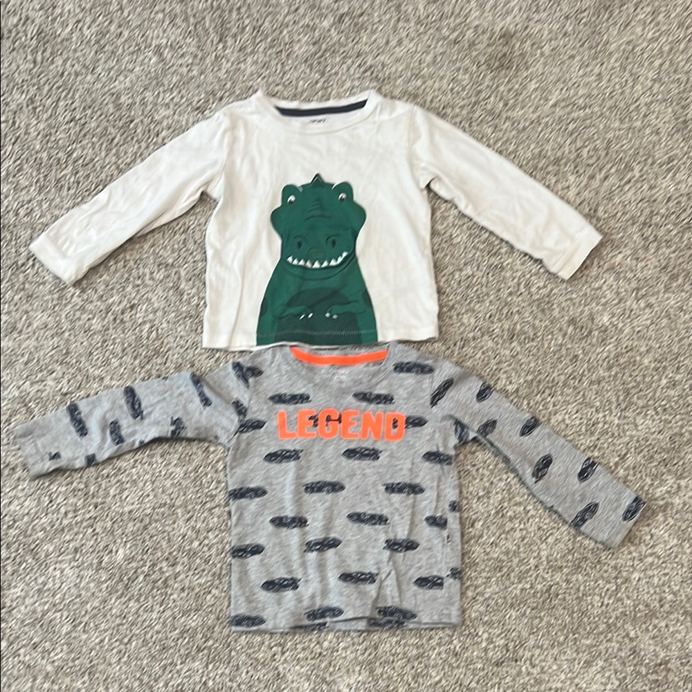 Carter's White and Gray Long Sleeve Tees with Fun Graphics